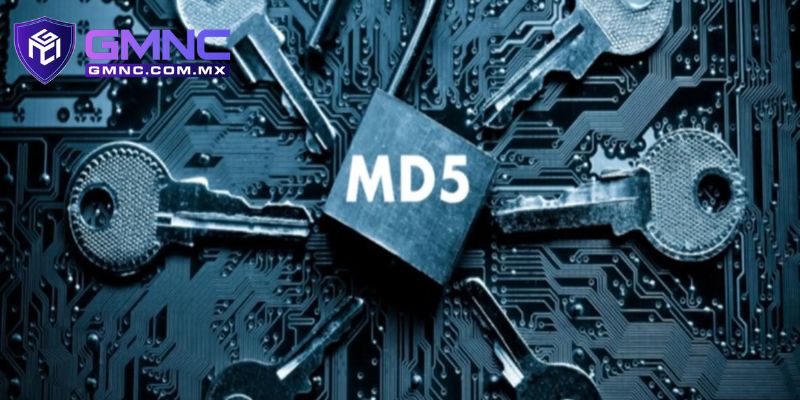 Giải mã MD5 từng phổ biến trong kiểm tra dữ liệu tải xuống